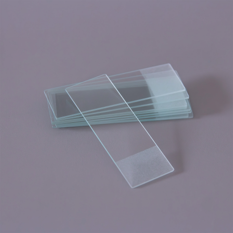 MICROSCOAPE - Lame microscop