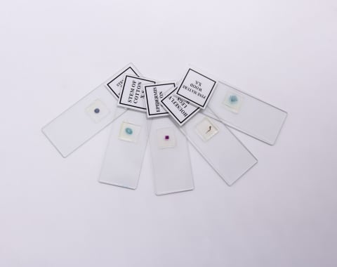 Microtom manual [4]