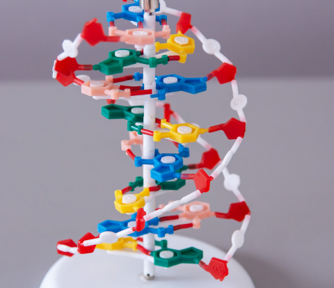 Model ADN, inalt de 20 cm [1]