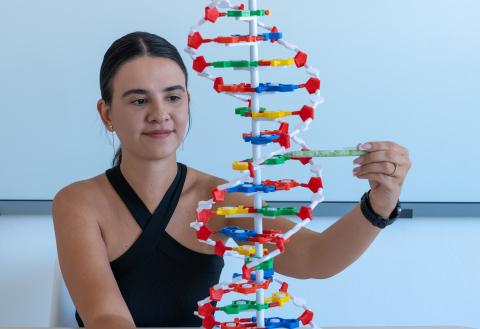 Model ADN 60 cm – material didactic pentru genetică [1]