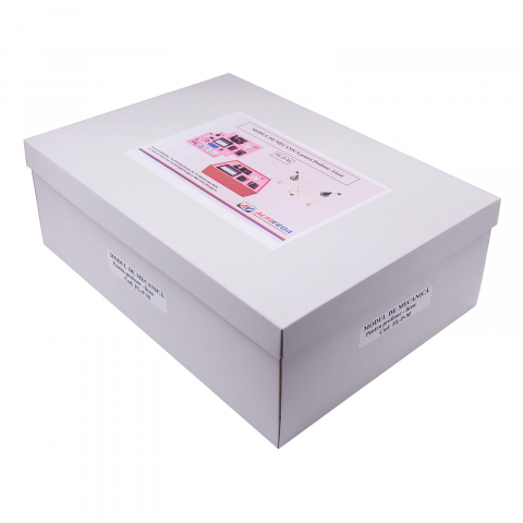 Modul de mecanica - pentru profesor liceu [5]