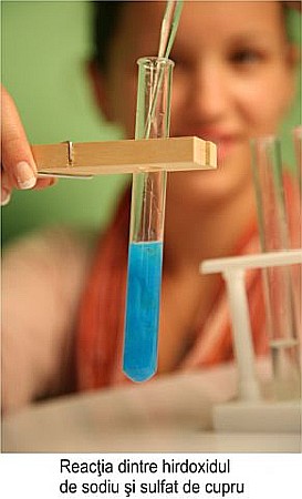 Modul de sticlarie pentru profesor - gimnaziu [6]