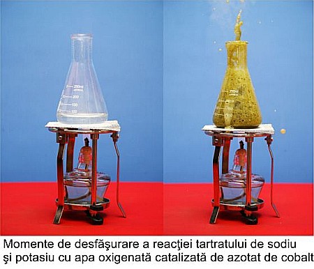 Modul sticlarie pentru profesor - liceu - chimie anorganica [1]