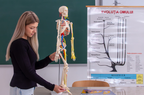 Mulaj schelet uman cu nervi și vase de sânge [3]