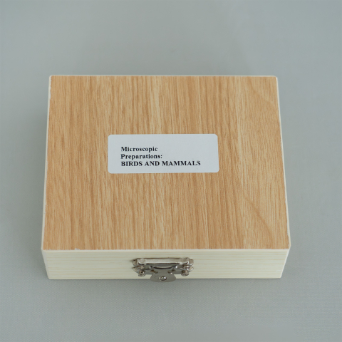 Păsări și mamifere – set de 10 preparate microscopice [1]