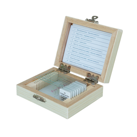 SECTIUNI MICROSCOPICE - SETURI - Păsări și mamifere – set de 10 preparate microscopice