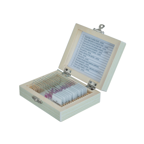 Patologii histologice umane – set 15 preparate microscopice [1]