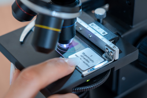 Patologii histologice umane – set 15 preparate microscopice [3]