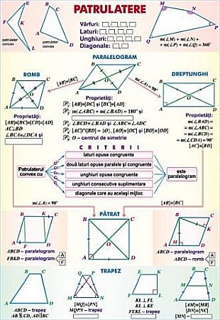 PLANSE MATEMATICA - Patrulatere / Functii de gradul II (duo)