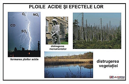 PLANSE ECOLOGIE - Ploile acide si efectele lor