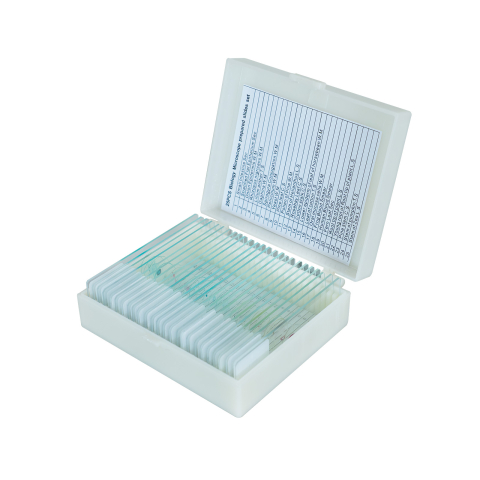 SECTIUNI MICROSCOPICE - SETURI - Preparate microscopice mixte – set 25 lame
