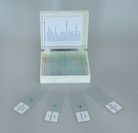 Preparate microscopice mixte – set 25 lame [1]