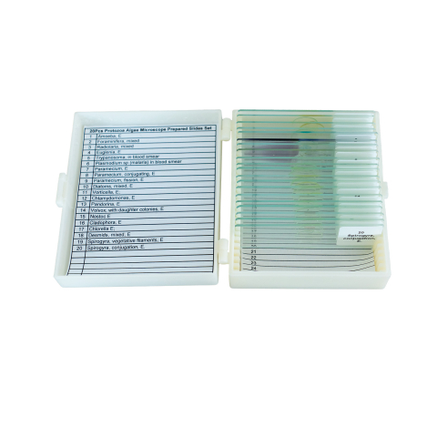 Protozoare și alge microscopice – set 20 preparate [1]