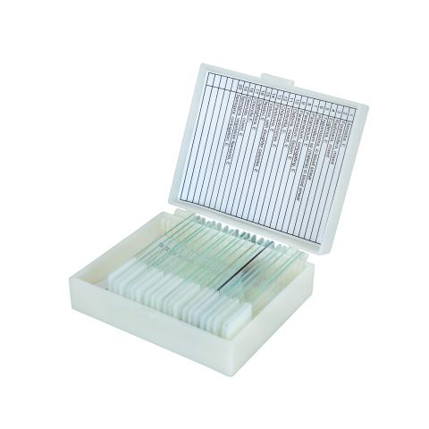 Protozoare și alge microscopice – set 20 preparate [2]