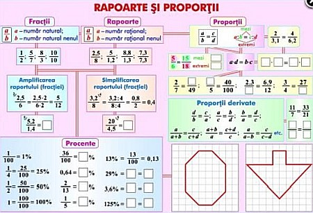 Rapoarte si proportii / Numere intregi (duo) [1]