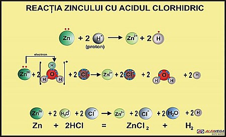 PLANȘE - Reactia zincului cu acidul clorhidric
