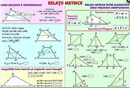 PLANSE MATEMATICA - Relatii metrice / Sisteme si totalitati de ecuatii (duo)