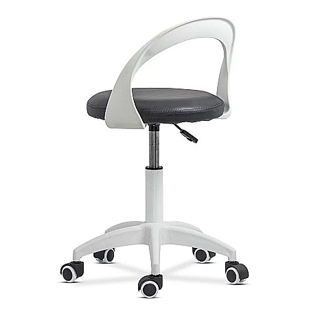 Scaun de laborator Eiko [3]