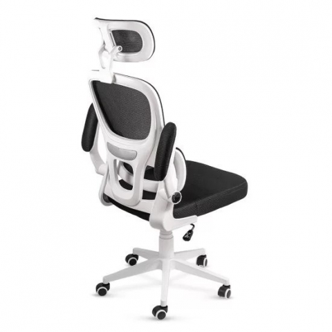 Scaun Sterian [5]