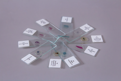 Set de 100 de preparate microscopice [5]