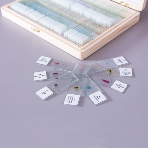 Set de 100 de preparate microscopice [3]