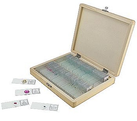 Set de 50 de preparate microscopice [4]