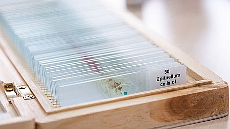Set de 50 de preparate microscopice [2]