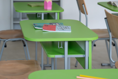 Set individual ALDO color, fix (bancă + scaun) - L [5]