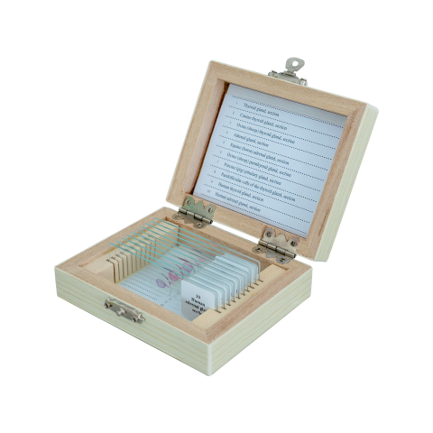 SECTIUNI MICROSCOPICE - SETURI - Sistemul endocrin – set de 10 preparate microscopice