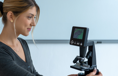 Sistemul endocrin – set de 10 preparate microscopice [3]