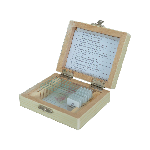 SECTIUNI MICROSCOPICE - SETURI - Sistemul genital – set de 10 preparate microscopice