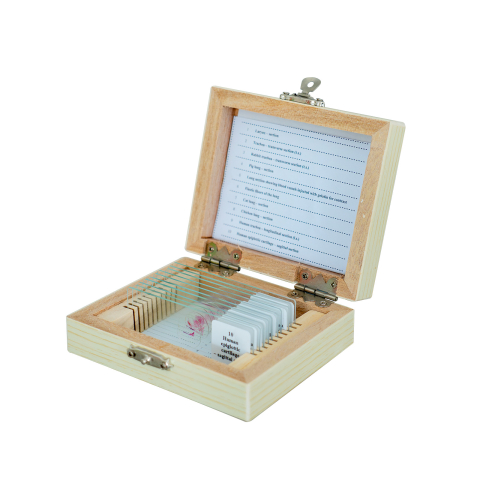 SECTIUNI MICROSCOPICE - SETURI - Sistemul respirator – set de 10 preparate microscopice