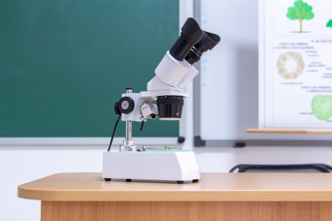 Stereomicroscop binocular [4]