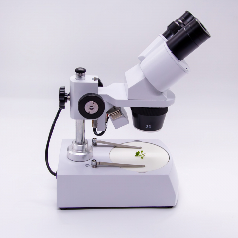 Stereomicroscop binocular [2]