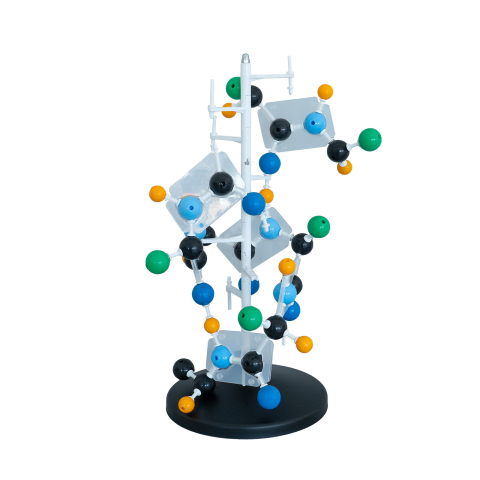 MODELE MOLECULARE - Model structură secundară a proteinei – model molecular
