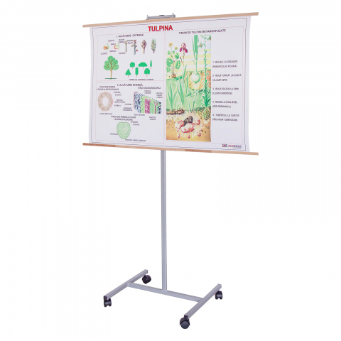 TABLE SCOLARE - AVIZIERE - Suport pentru Planșe și Hărți Reglabil - 1800 mm înălțime