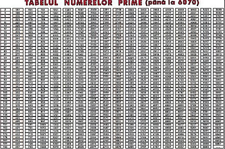 PLANSE MATEMATICA - Tabelul numerelor prime (pana la 6070) (duo)