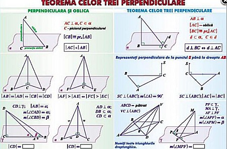 PLANSE MATEMATICA - Teorema celor trei perpendiculare / Sfera circumscrisa corpurilor de rotatie (duo)
