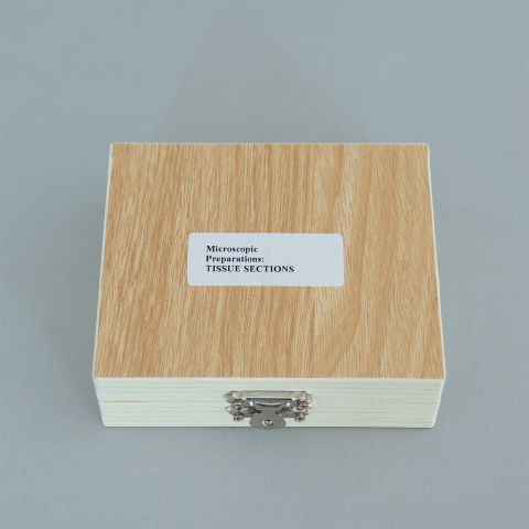 Țesuturi – set 10 preparate microscopice [1]
