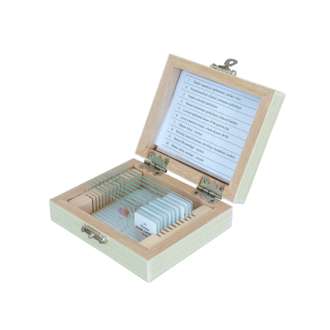 SECTIUNI MICROSCOPICE - SETURI - Țesuturi – set 10 preparate microscopice