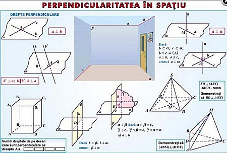 Transformari de grafice / Perpendicularitatea in spatiu (duo) [1]