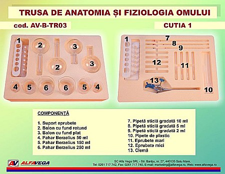 Trusa de anatomia si fiziologia omului [9]