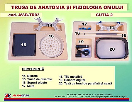 Trusa de anatomia si fiziologia omului [8]