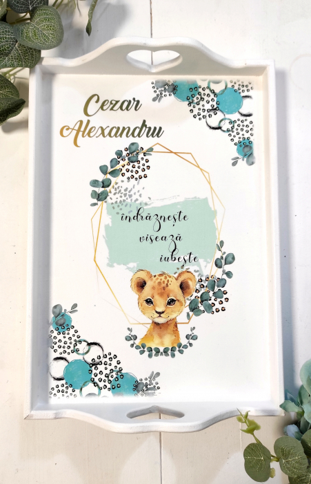 Set 1 an Baby Leopard [1]