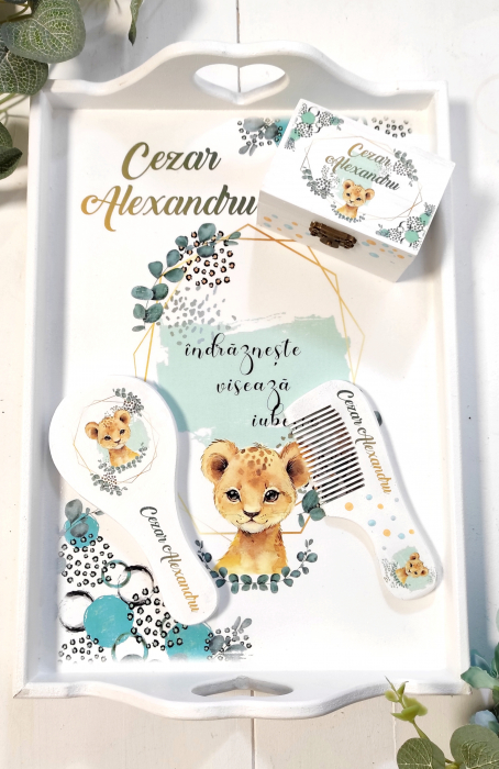 Set 1 an Baby Leopard [2]