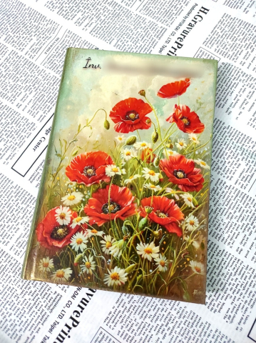 agenda personalizata profesor [3]
