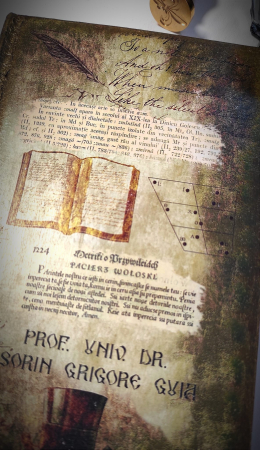 agenda personalizata profesor [3]