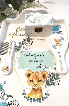 Set 1 an Baby Leopard [2]