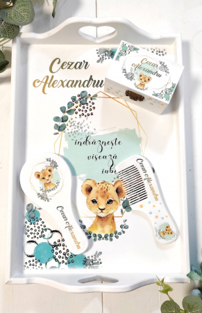 Set 1 an Baby Leopard [1]