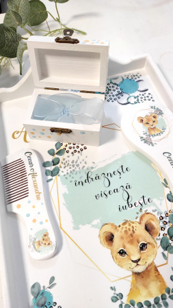Set 1 an Baby Leopard [5]